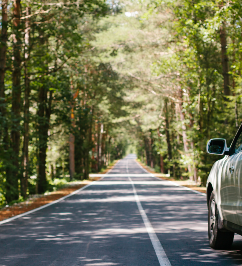 Farmhouse in Hyderabad